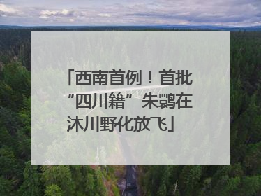 西南首例！首批“四川籍”朱鹮在沐川野化放飞