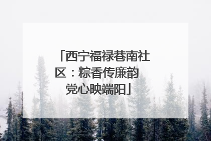 西宁福禄巷南社区：粽香传廉韵 党心映端阳