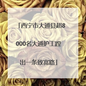 西宁市大通县超8000名大通护工蹚出一条致富路