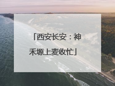 西安长安：神禾塬上麦收忙