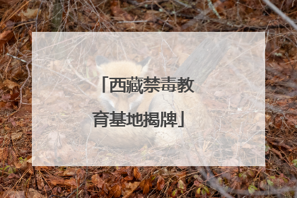 西藏禁毒教育基地揭牌