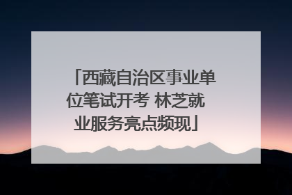 西藏自治区事业单位笔试开考 林芝就业服务亮点频现