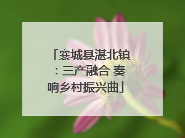 襄城县湛北镇：三产融合 奏响乡村振兴曲