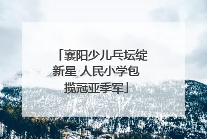 襄阳少儿乓坛绽新星 人民小学包揽冠亚季军