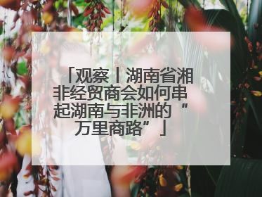 观察丨湖南省湘非经贸商会如何串起湖南与非洲的“万里商路”