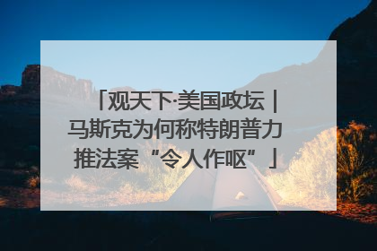 观天下·美国政坛｜马斯克为何称特朗普力推法案“令人作呕”