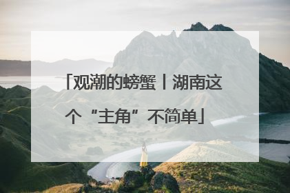 观潮的螃蟹丨湖南这个“主角”不简单