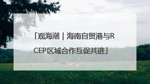 观海潮｜海南自贸港与RCEP区域合作互促共进