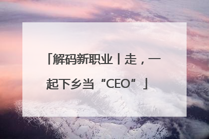 解码新职业丨走，一起下乡当“CEO”