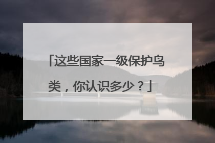 这些国家一级保护鸟类，你认识多少？