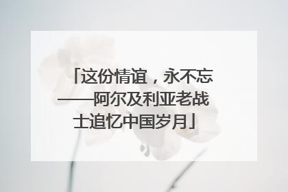 这份情谊，永不忘——阿尔及利亚老战士追忆中国岁月