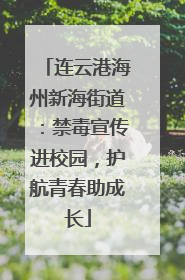 连云港海州新海街道：禁毒宣传进校园，护航青春助成长