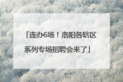 连办6场！洛阳各辖区系列专场招聘会来了
