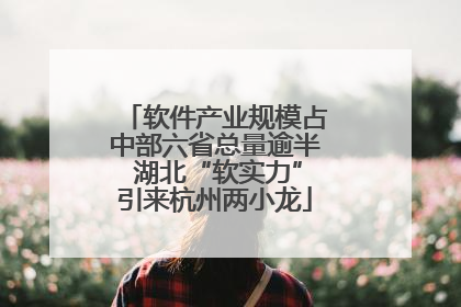 软件产业规模占中部六省总量逾半 湖北“软实力”引来杭州两小龙