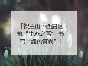 贺兰山下西夏区：执“生态之笔” 书写“绿色答卷”