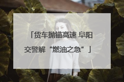 货车抛锚高速 阜阳交警解“燃油之急”