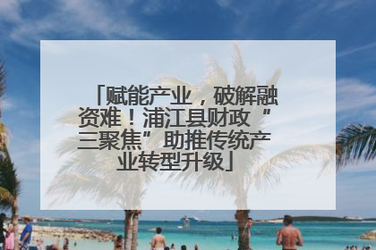 赋能产业，破解融资难！浦江县财政“三聚焦”助推传统产业转型升级
