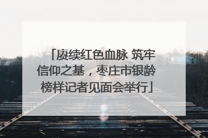赓续红色血脉 筑牢信仰之基，枣庄市银龄榜样记者见面会举行