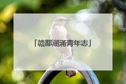 赣鄱潮涌青年志