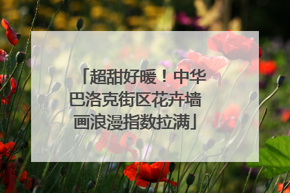 超甜好暖！中华巴洛克街区花卉墙画浪漫指数拉满