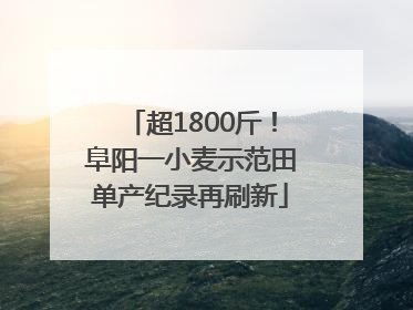 超1800斤！阜阳一小麦示范田单产纪录再刷新