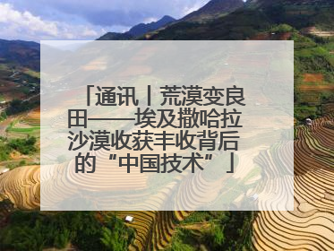通讯丨荒漠变良田——埃及撒哈拉沙漠收获丰收背后的“中国技术”