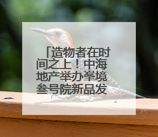 造物者在时间之上！中海地产举办峯境叁号院新品发布会