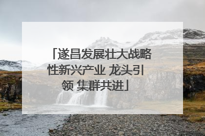 遂昌发展壮大战略性新兴产业 龙头引领 集群共进