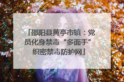 邵阳县黄亭市镇：党员化身禁毒“多面手” 织密禁毒防护网
