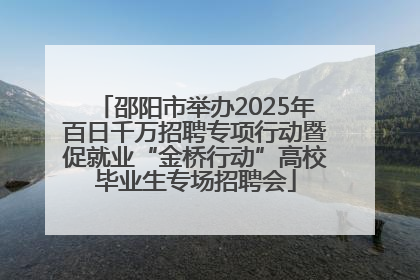 邵阳市举办2025年百日千万招聘专项行动暨促就业“金桥行动”高校毕业生专场招聘会