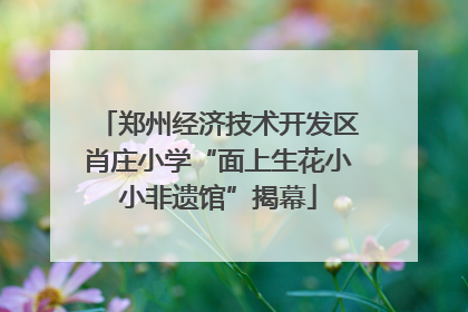 郑州经济技术开发区肖庄小学“面上生花小小非遗馆”揭幕