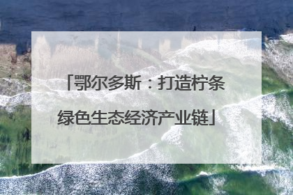 鄂尔多斯：打造柠条绿色生态经济产业链