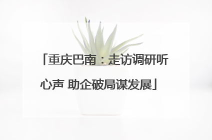 重庆巴南：走访调研听心声 助企破局谋发展