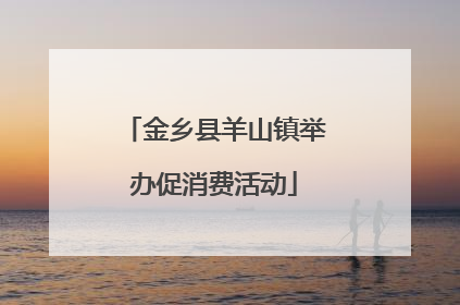 金乡县羊山镇举办促消费活动