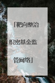 靶向整治织密基金监管网络