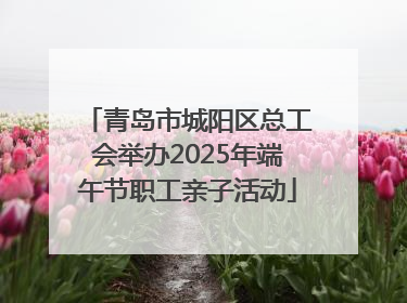 青岛市城阳区总工会举办2025年端午节职工亲子活动