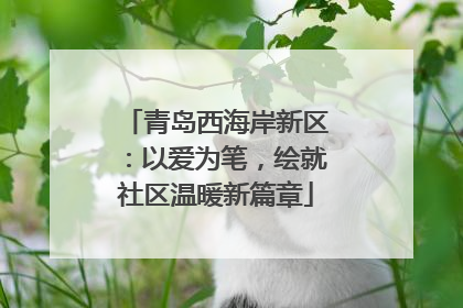 青岛西海岸新区：以爱为笔，绘就社区温暖新篇章