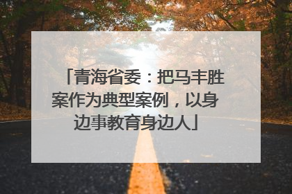 青海省委：把马丰胜案作为典型案例，以身边事教育身边人
