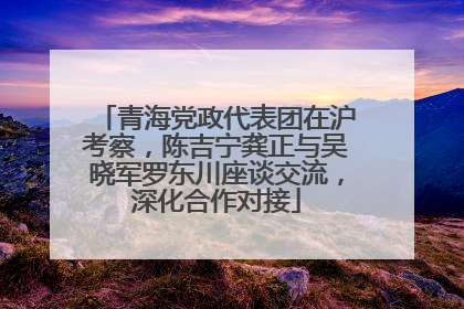 青海党政代表团在沪考察，陈吉宁龚正与吴晓军罗东川座谈交流，深化合作对接