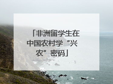 非洲留学生在中国农村学“兴农”密码