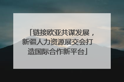 链接欧亚共谋发展，新疆人力资源展交会打造国际合作新平台