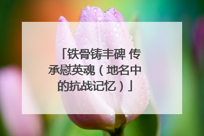 铁骨铸丰碑 传承慰英魂（地名中的抗战记忆）
