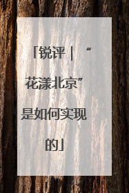 锐评｜“花漾北京”是如何实现的
