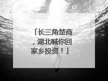 长三角楚商，湖北喊你回家乡投资！