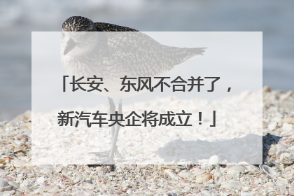 长安、东风不合并了，新汽车央企将成立！
