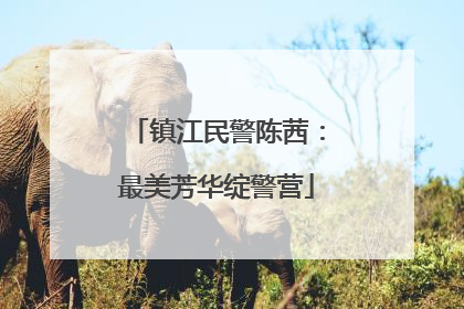 镇江民警陈茜：最美芳华绽警营