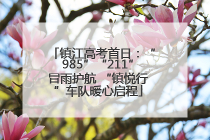 镇江高考首日：“985”“211”冒雨护航 “镇悦行”车队暖心启程