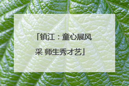 镇江：童心展风采 师生秀才艺