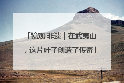 镜观·非遗｜在武夷山，这片叶子创造了传奇