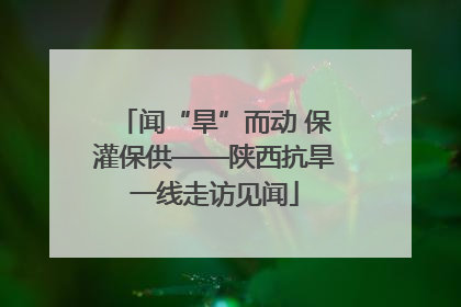 闻“旱”而动 保灌保供——陕西抗旱一线走访见闻